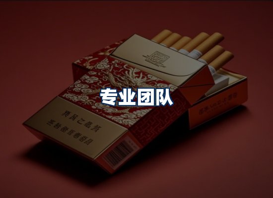 专业团队